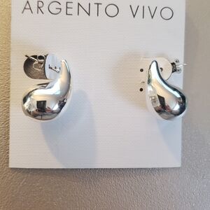 Argento Vivo Shiny Silver Drop Earrings